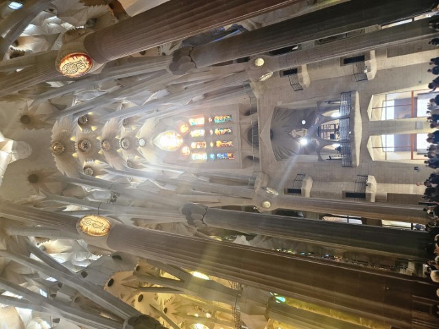 20260223_153450.jpg